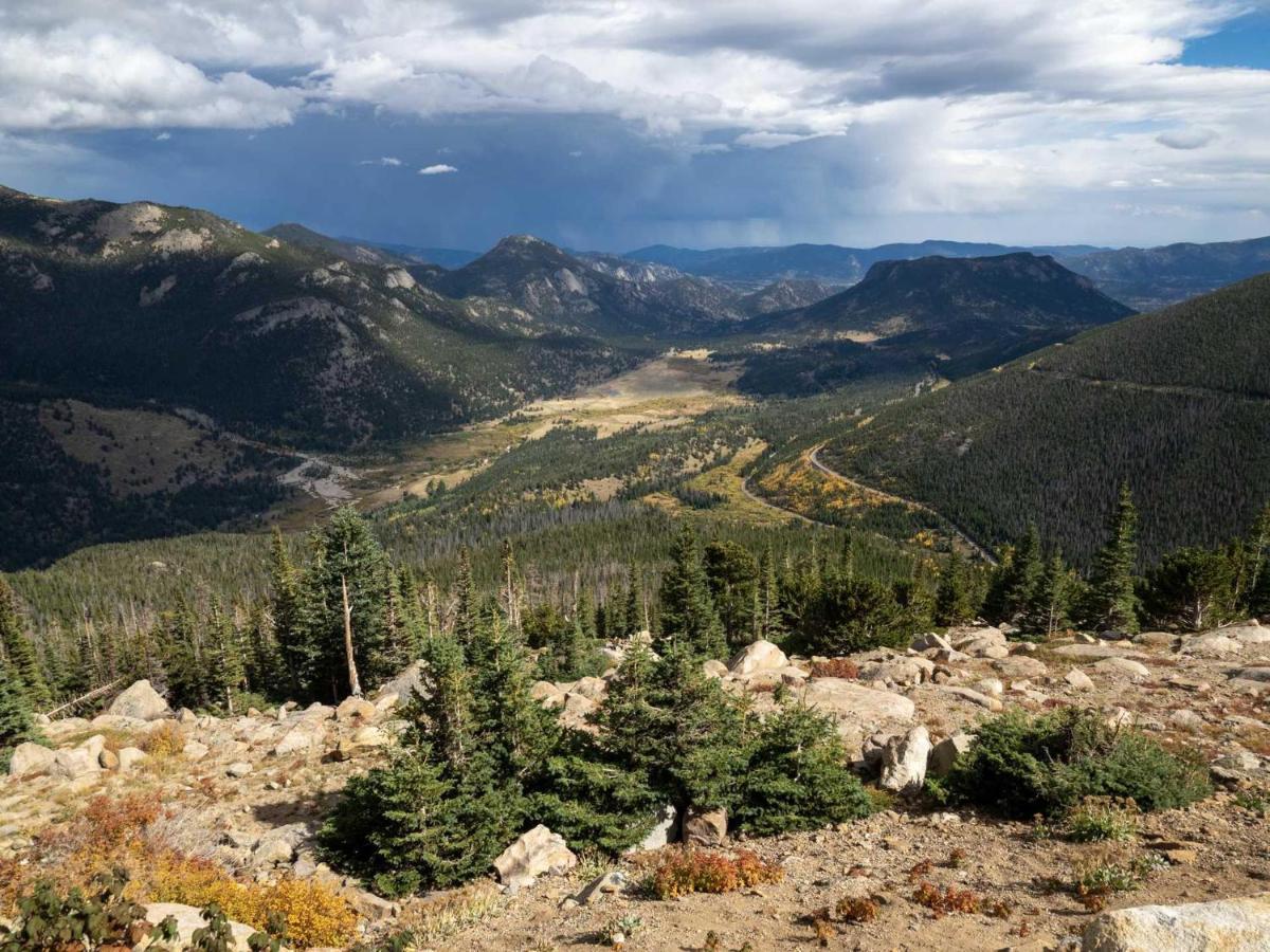 Kicking Horse 6102