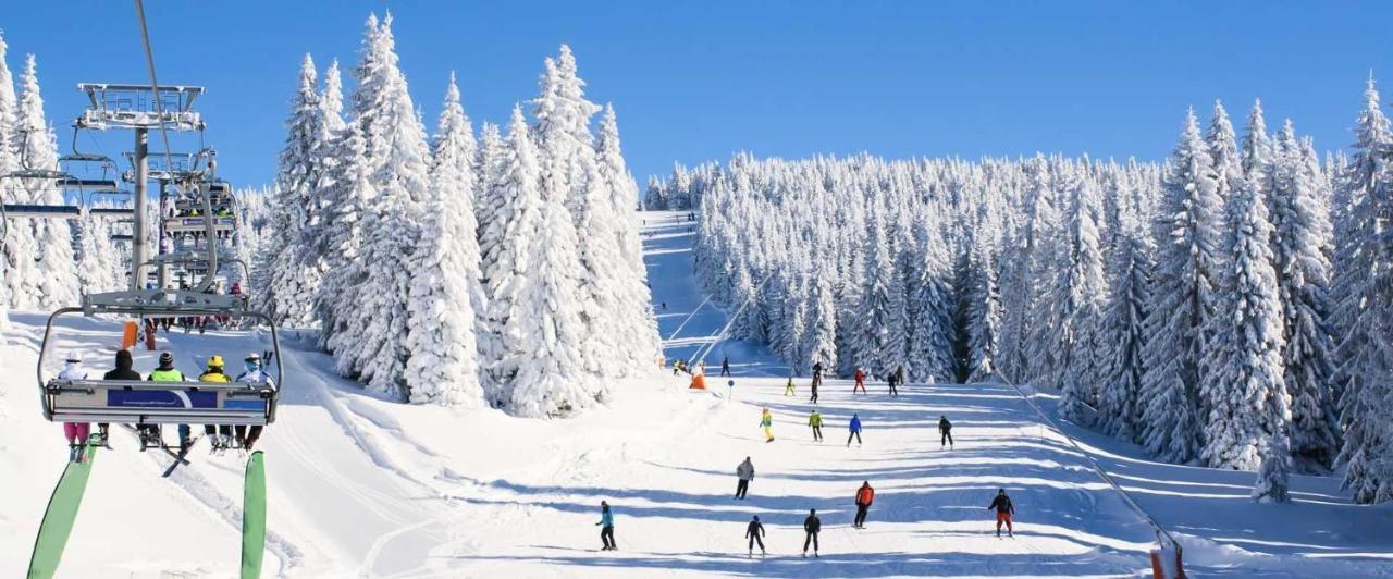 Kicking Horse 6102 Granby