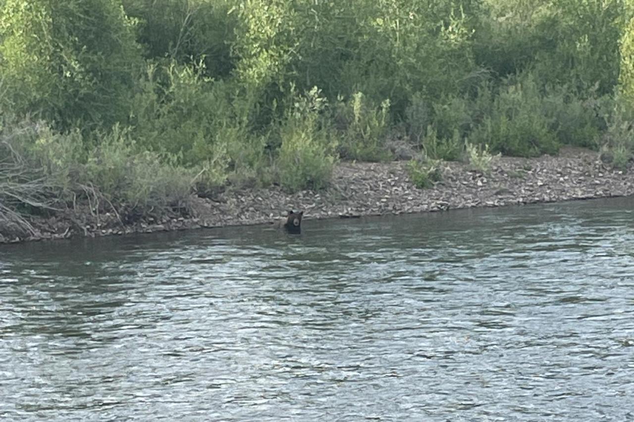 Rio Vista Haven * South Fork