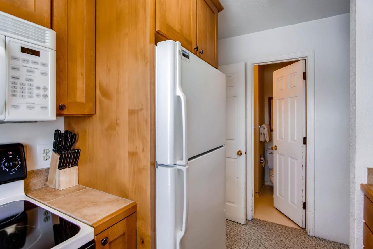 View Of Mt Crested Butte- 1 Bedroom Apartment