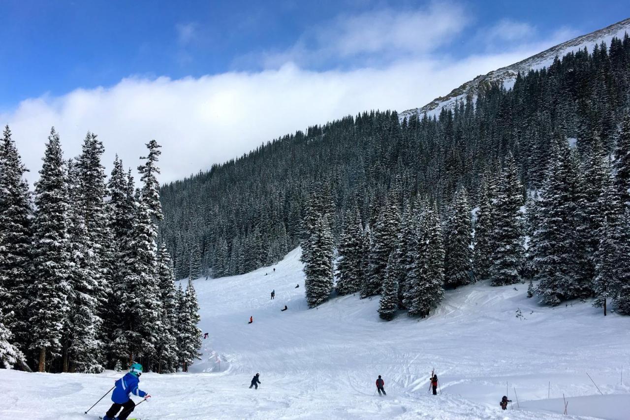 Spruce Copper Mountain