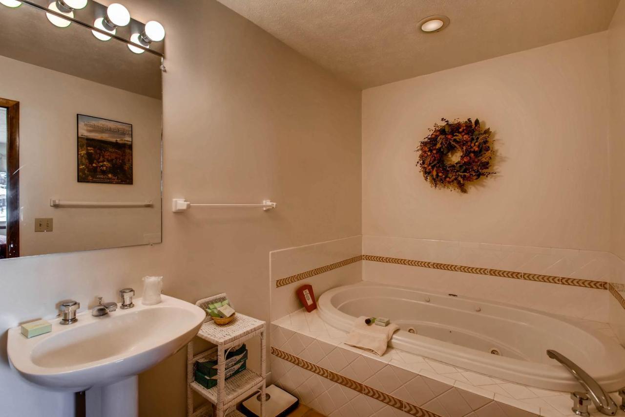 3 Bedroom Unit With Fireplace & Mountain Views * Crested Butte