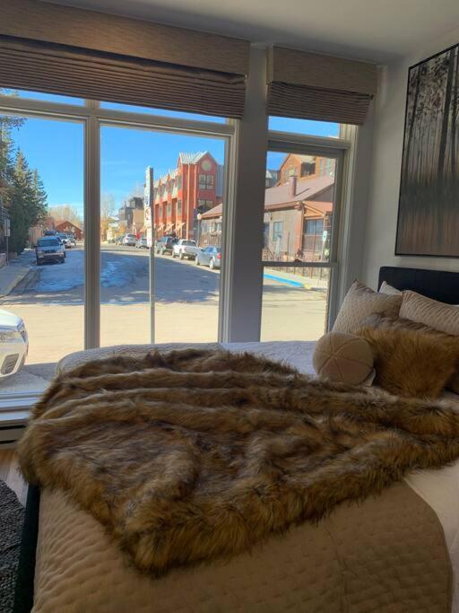 Luxurious1br In Town And Steps To The Gondola Holiday home Telluride