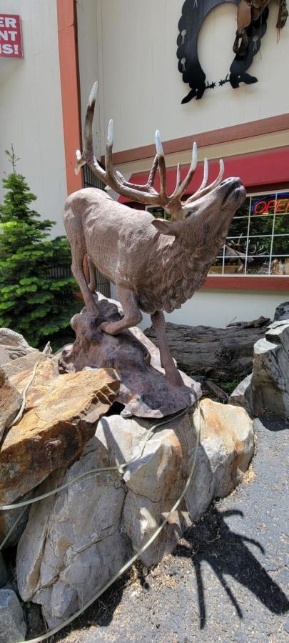 Hot Springs Hotel Ouray