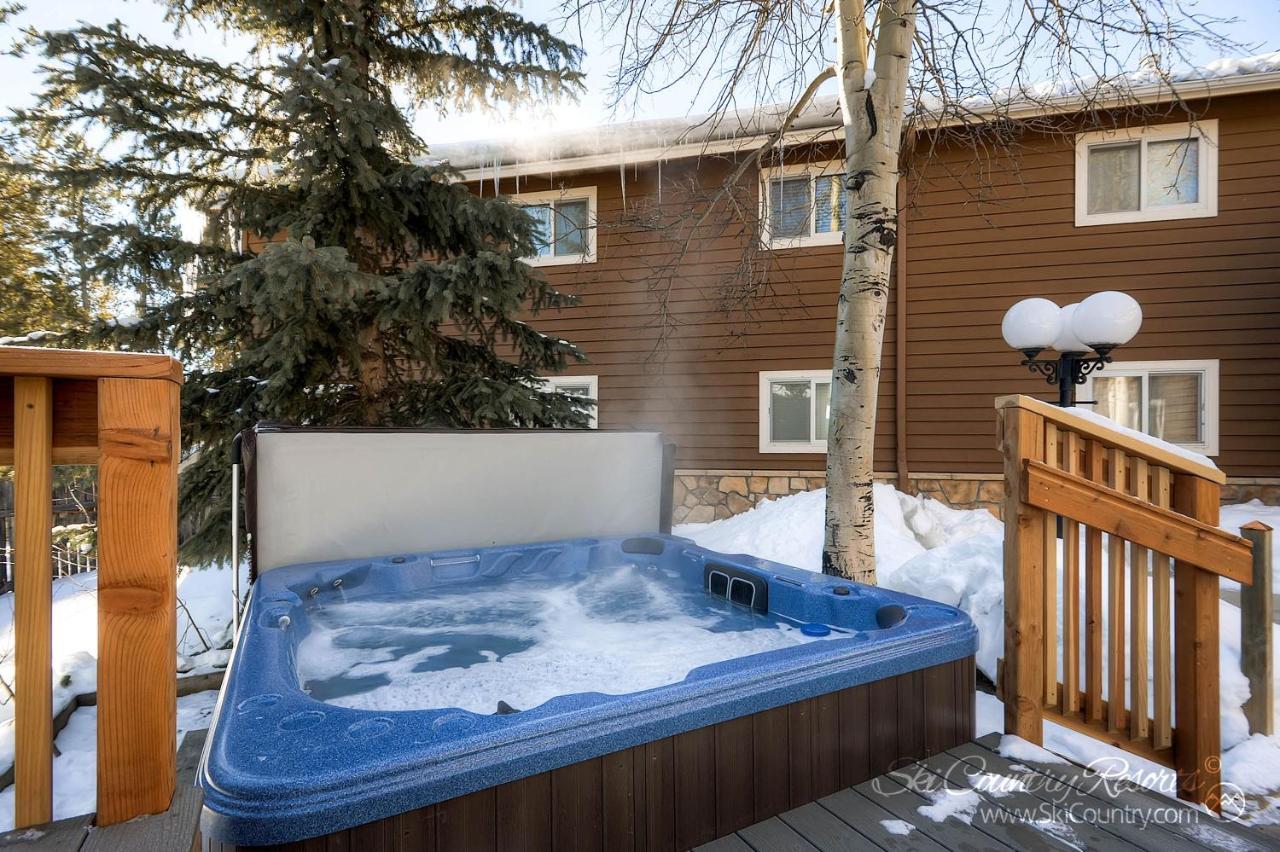Cozy Floor Unit With Lots Of Windows Affordable & Steps From Main Street Pm8d Apartment