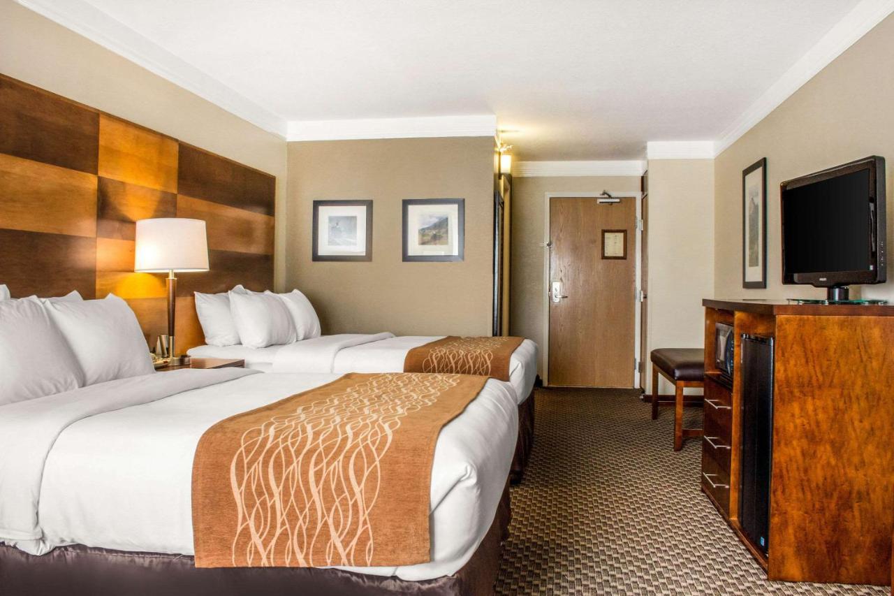 Comfort & Hotel