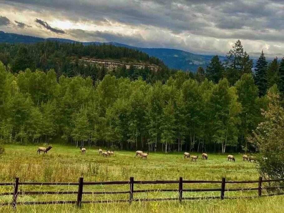 Secluded Mtn By Purg, Hot Tub, Views! Pets Ok Durango
