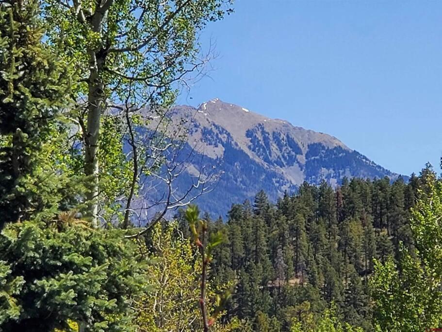 Secluded Mtn By Purg, Hot Tub, Views! Pets Ok