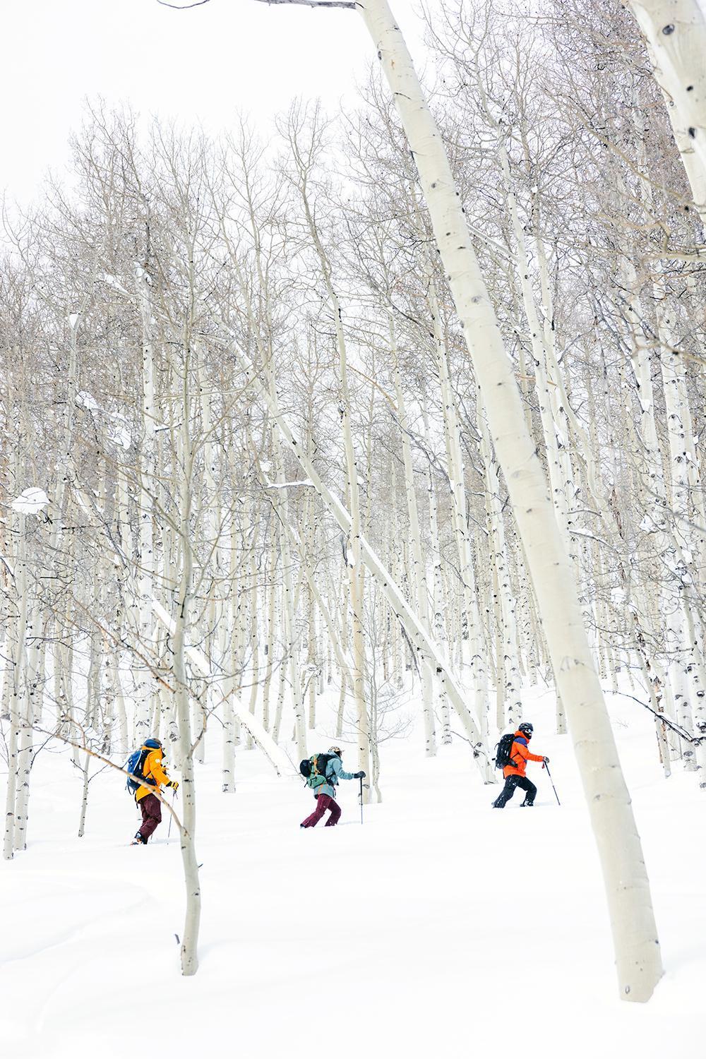 Hotel Comfort & Gunnison-crested Butte Gunnison