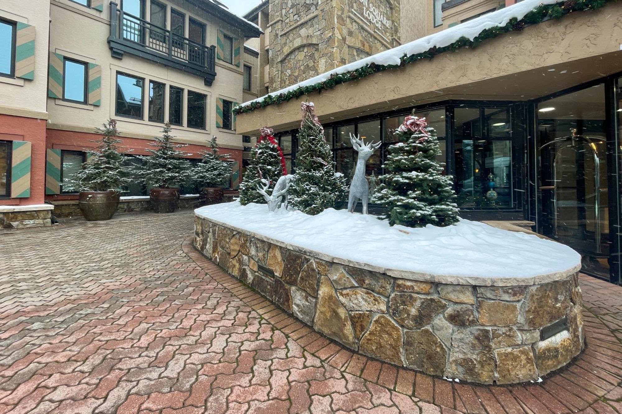 Lion Square Apartment