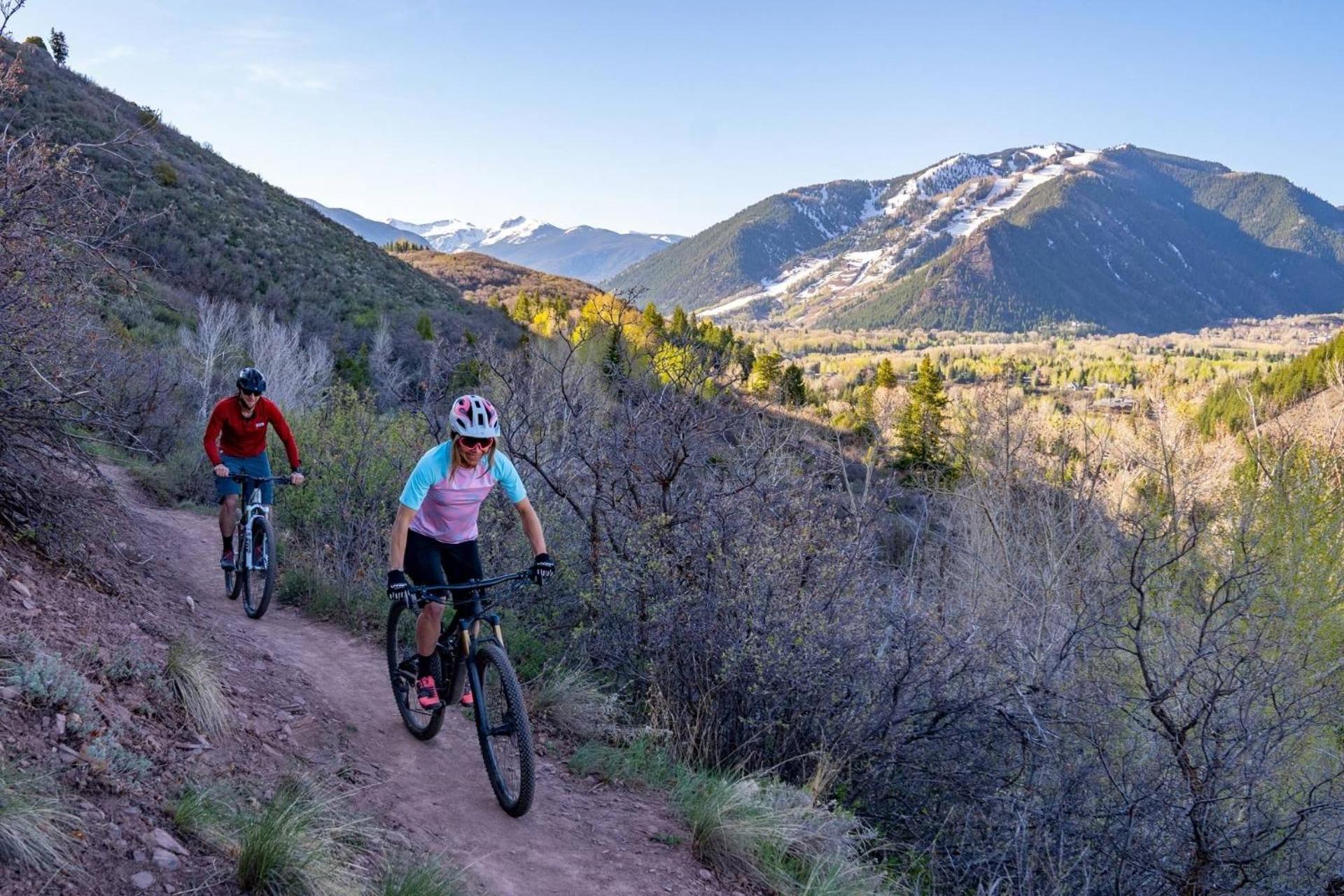 Shadowbrook 303 Snowmass Village