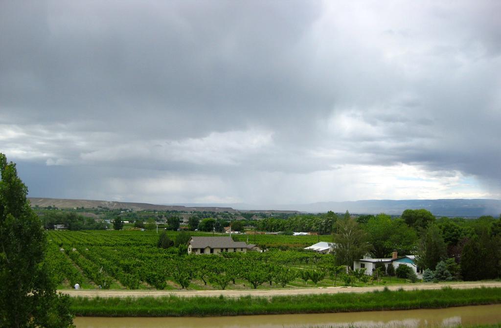 Hotel Wine Country