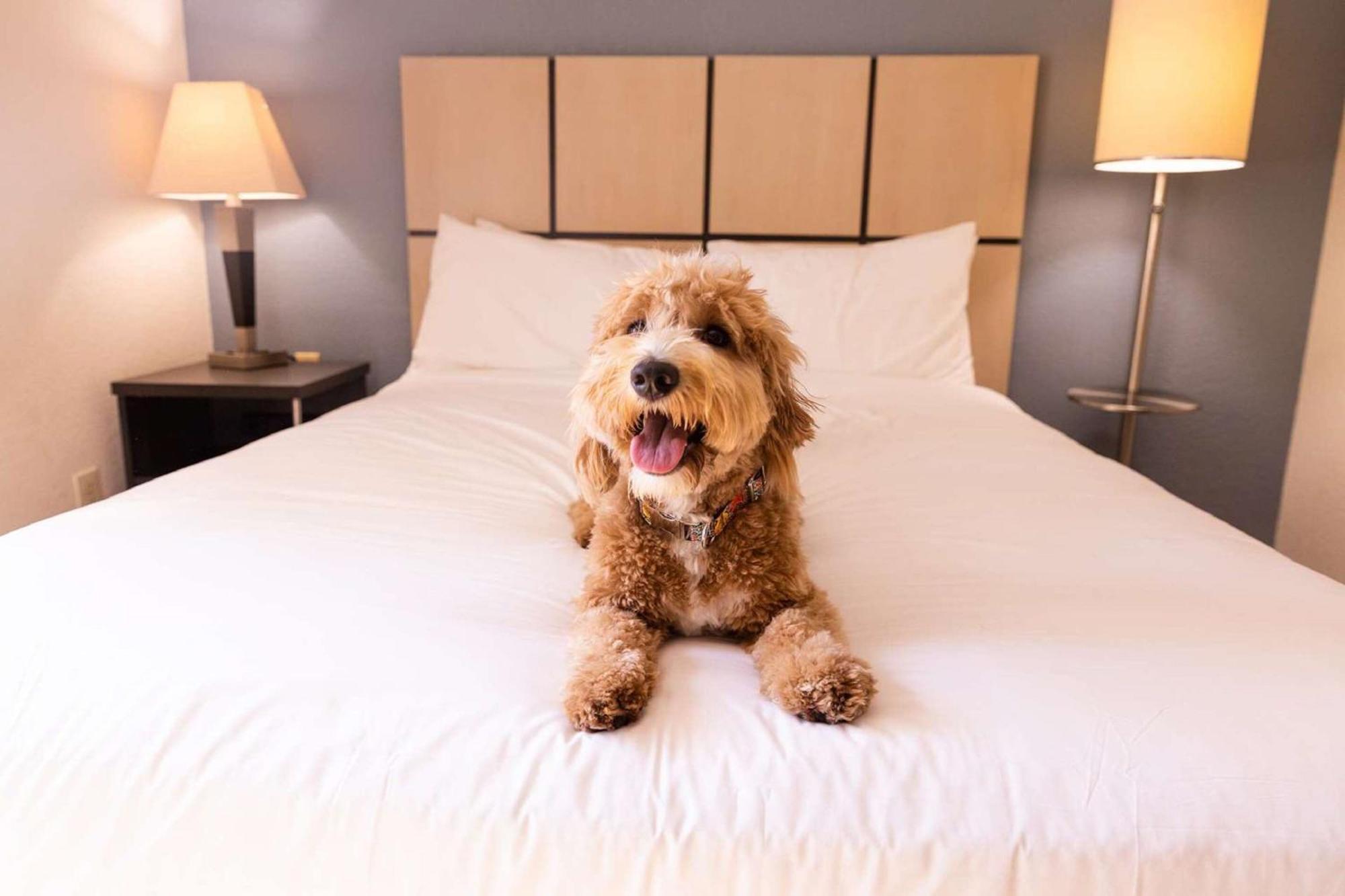 Sonesta Simply Denver West Federal Center 2* Lakewood
