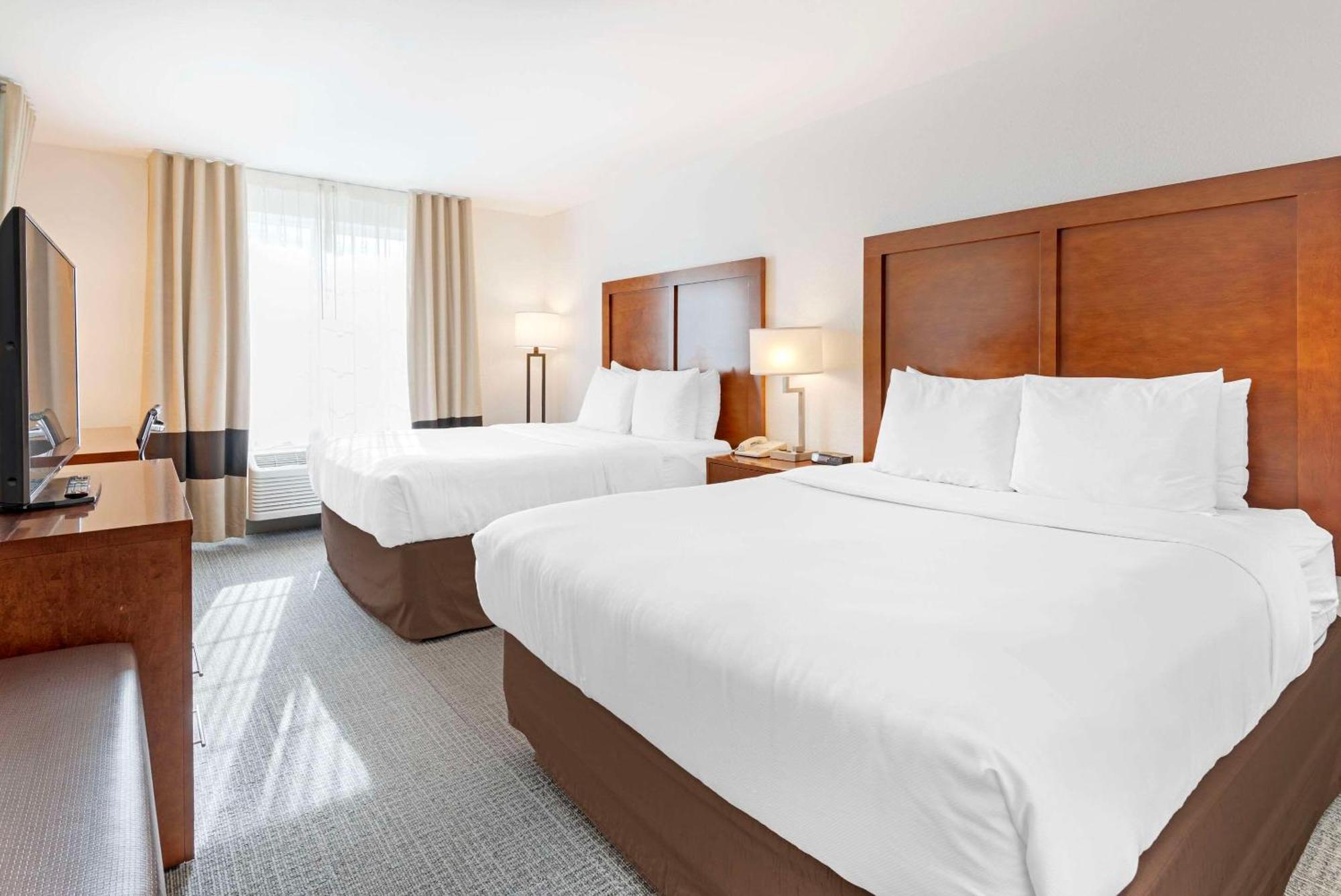 Comfort & On The Roaring Fork