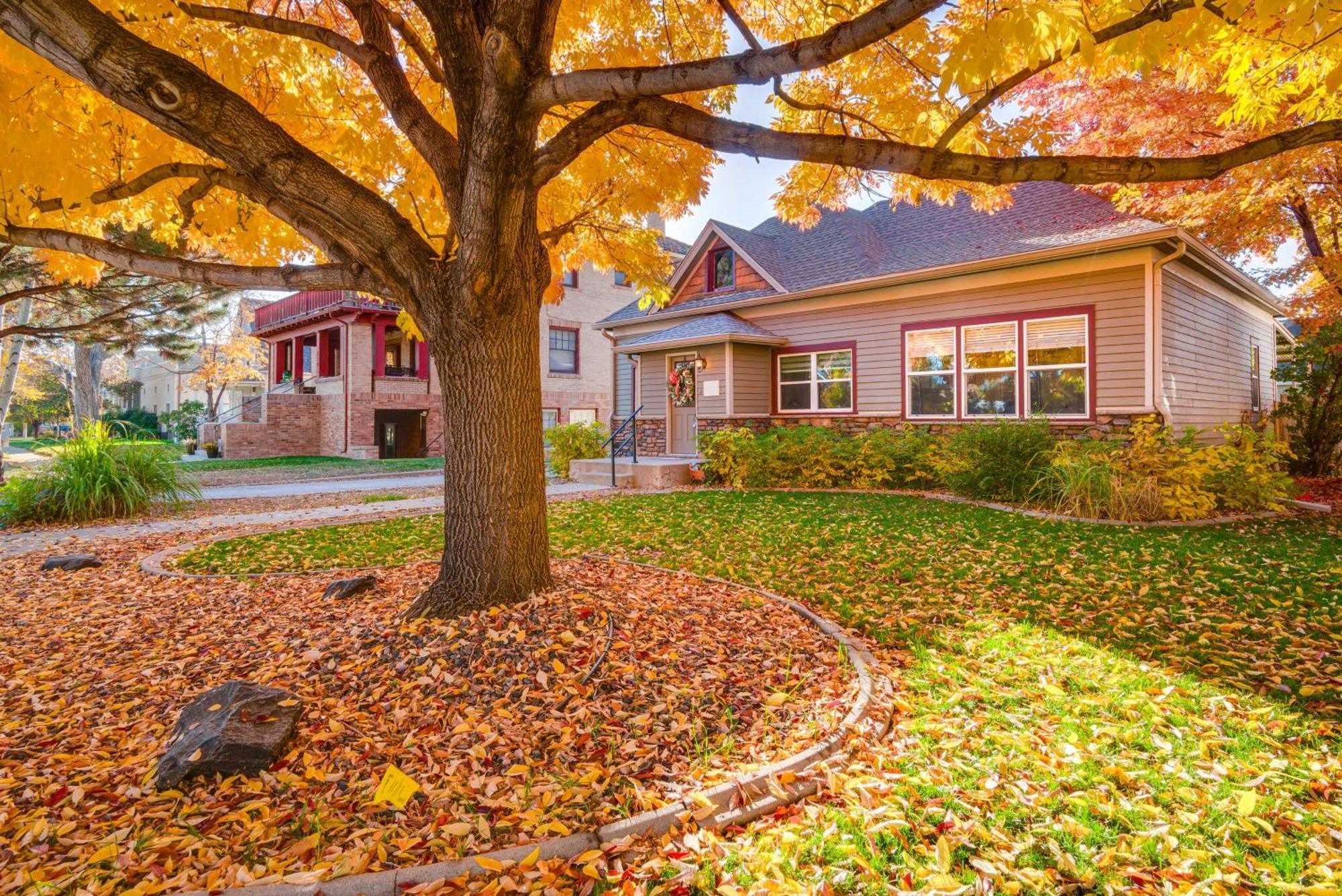 Charming Getaway, Walk To And Downtown! Windsor