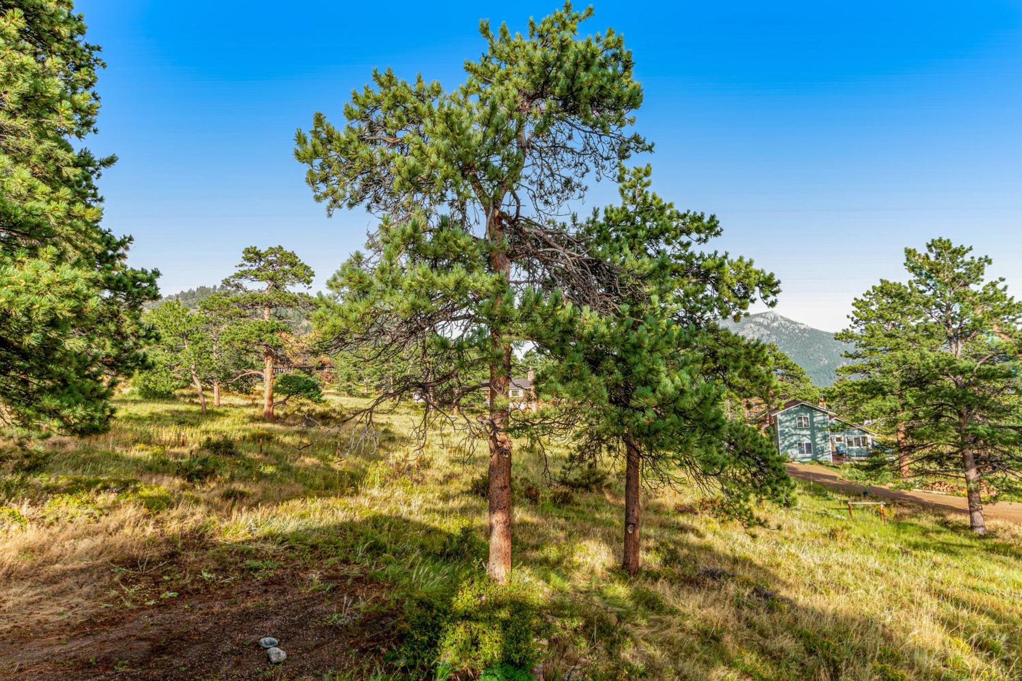 Deer Mountain South Holiday home *