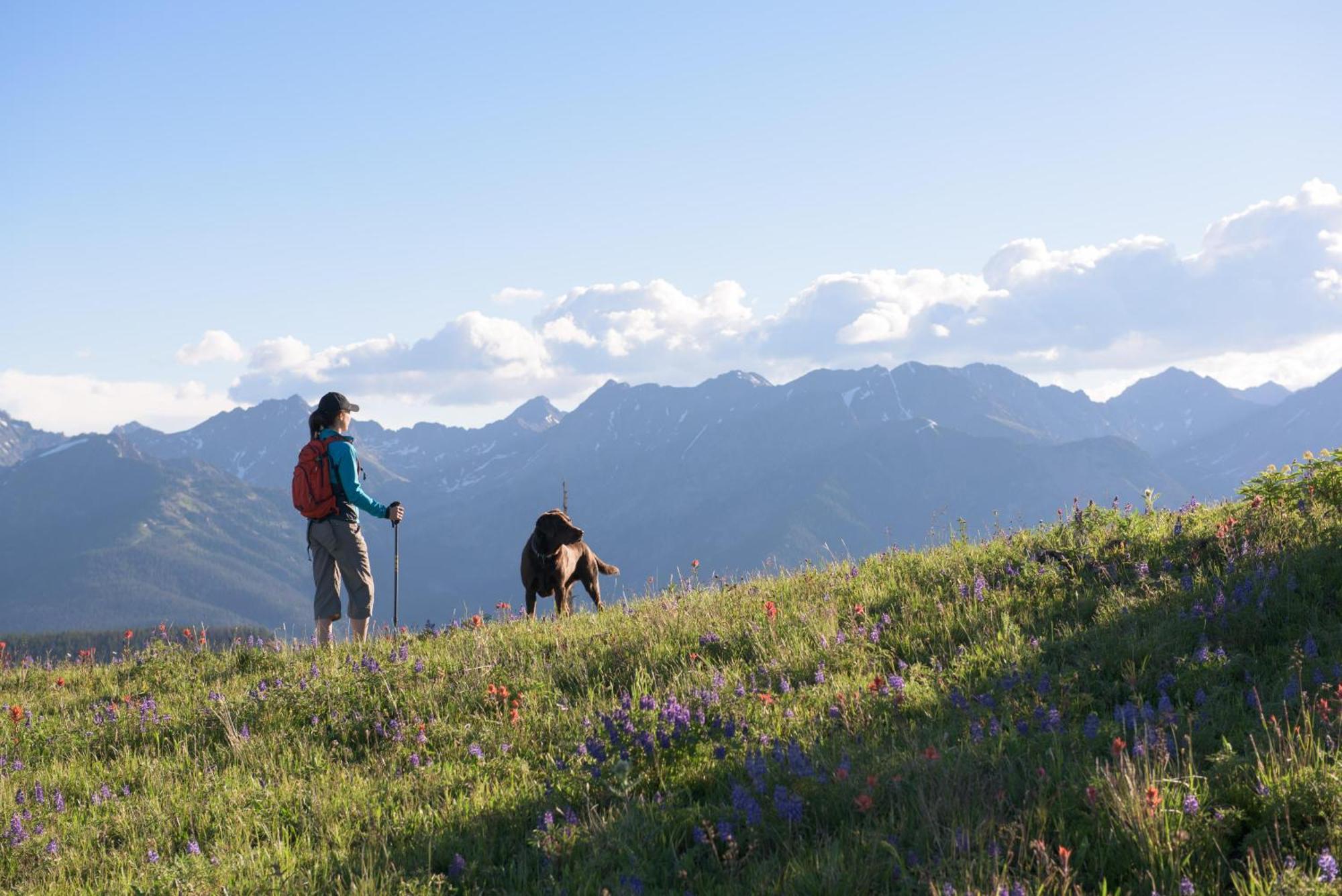 Lift House Lodge, Pet Friendly, Premium Vail