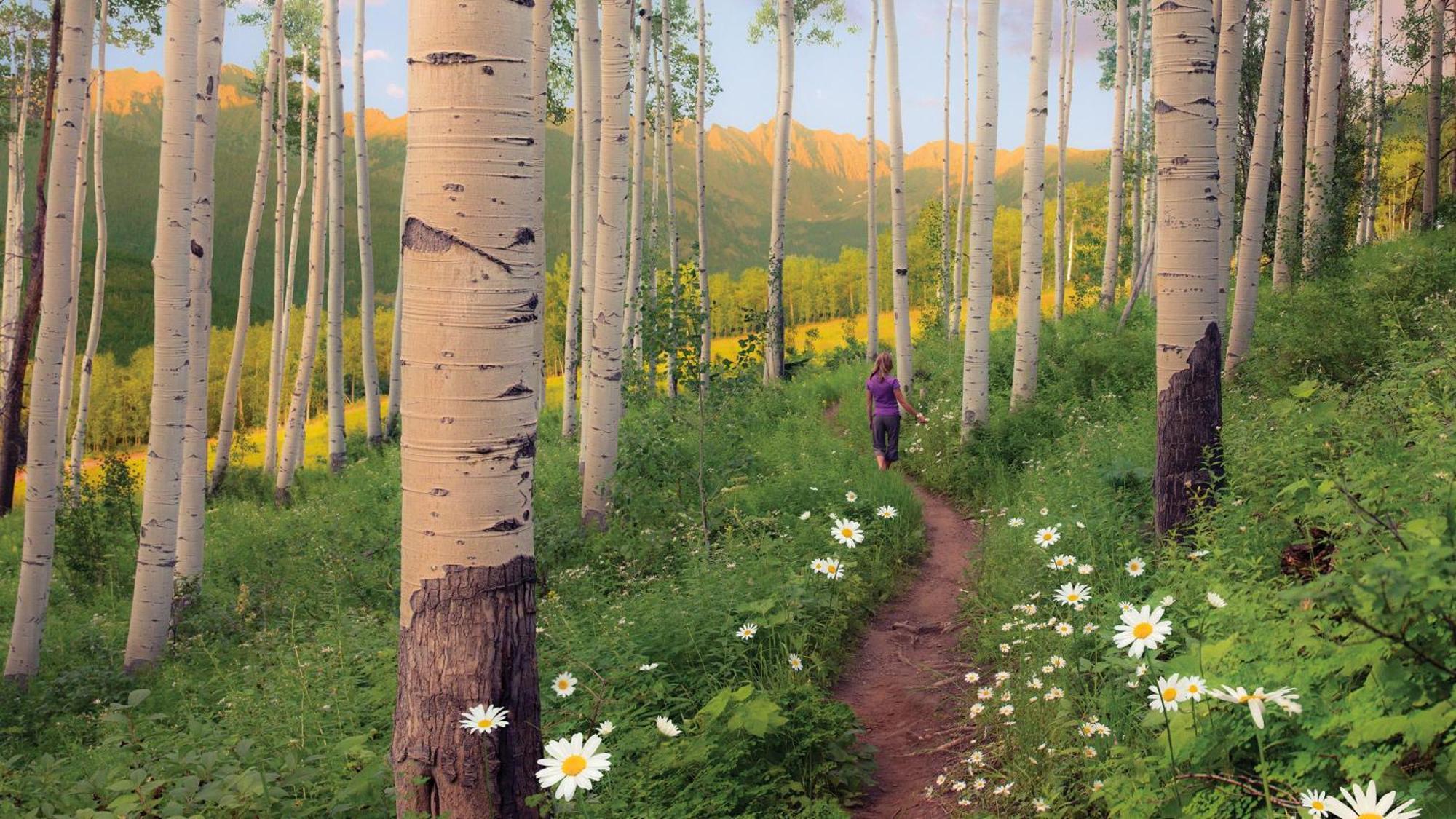 Villa Lift House Lodge, Pet Friendly, Premium Vail