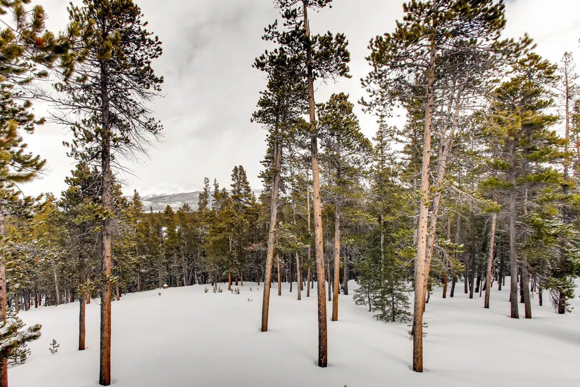 Serene Mountain Nestled Amongst The Pines - Alpenhaus *