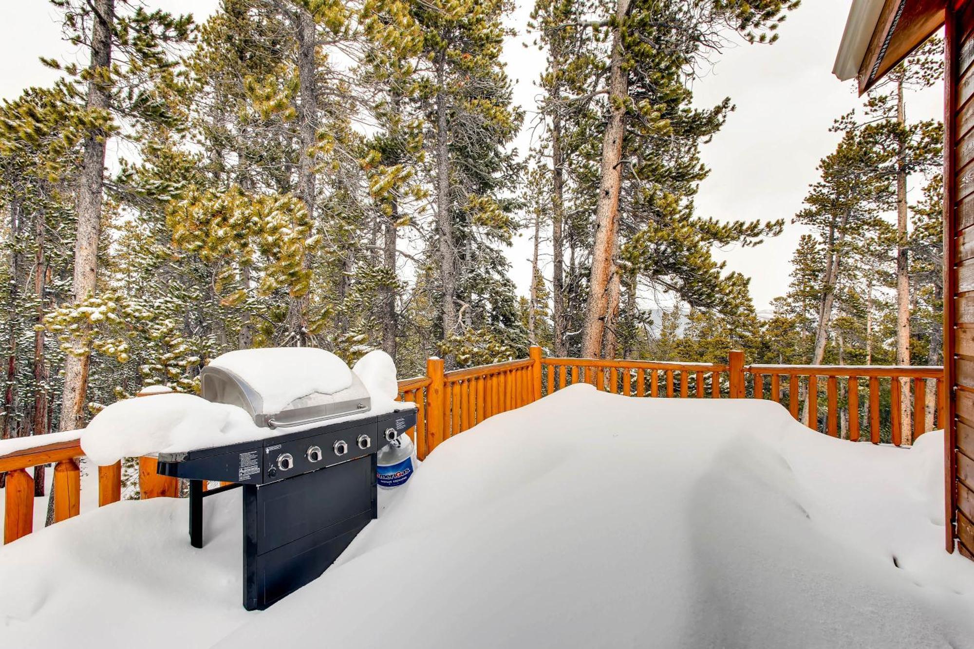 Serene Mountain Nestled Amongst The Pines - Alpenhaus Holiday home *