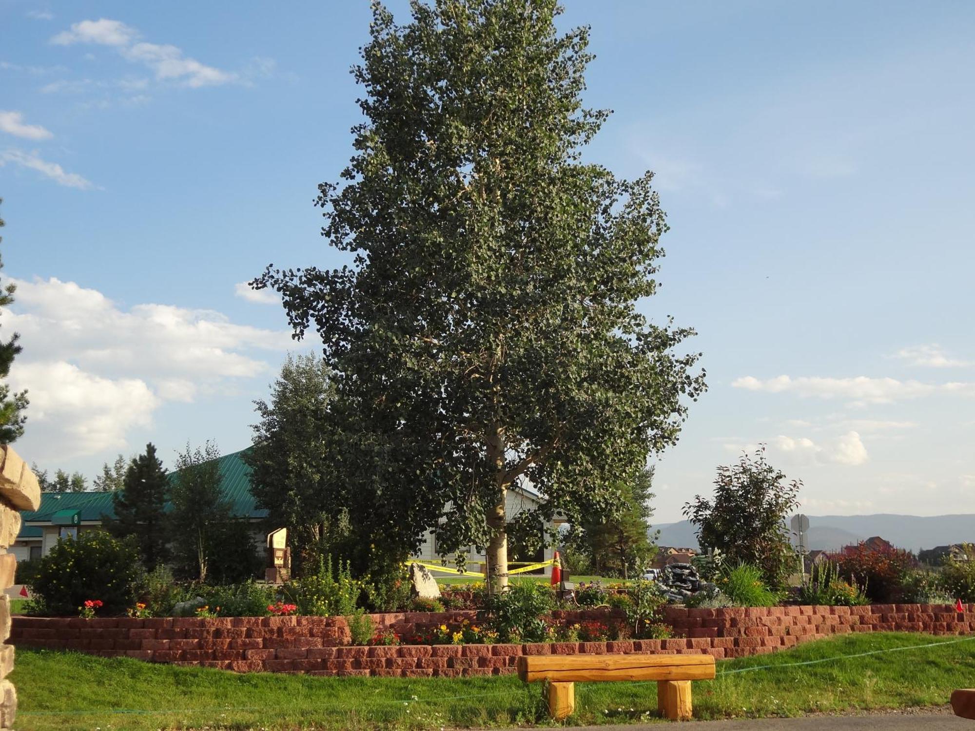 Littletree Motel 3*