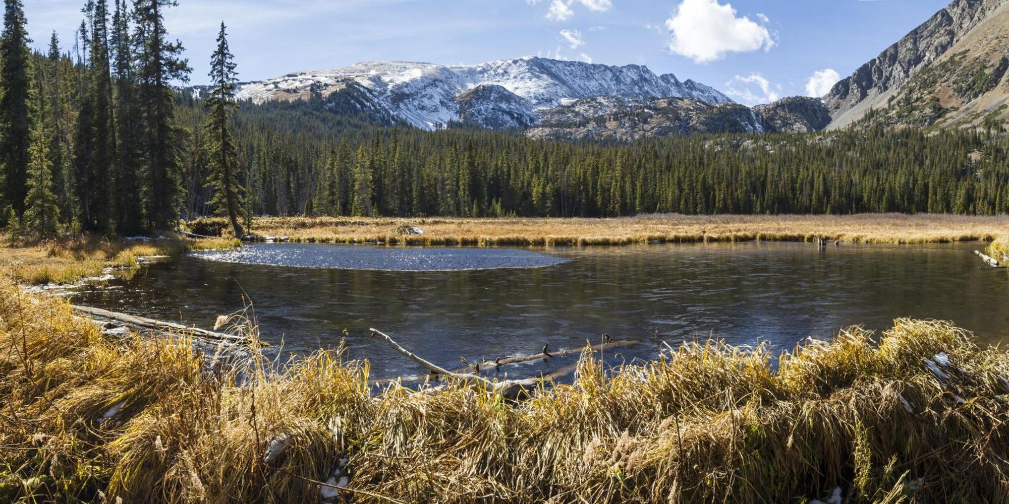 One Place 11 By Great Western Holiday home Breckenridge