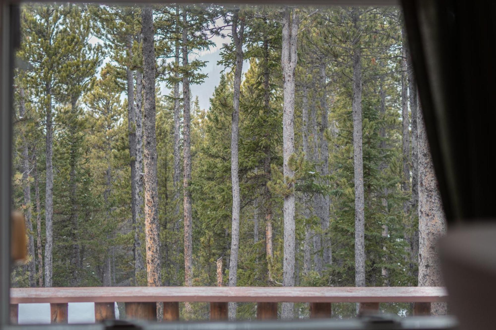 Holiday home A-frame - Mountain Views, Deck, Pet Friendly *