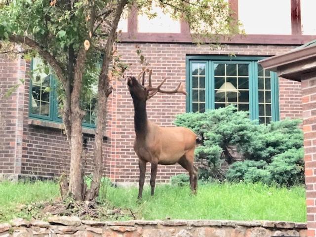 Bed & Breakfast Colorado With Beautiful Views Evergreen