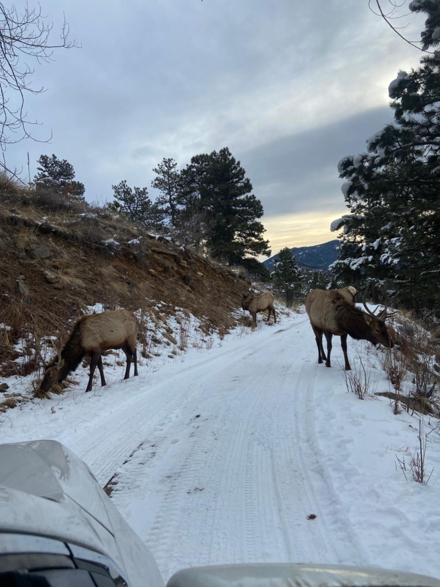 Bed & Breakfast Colorado With Beautiful Views Evergreen