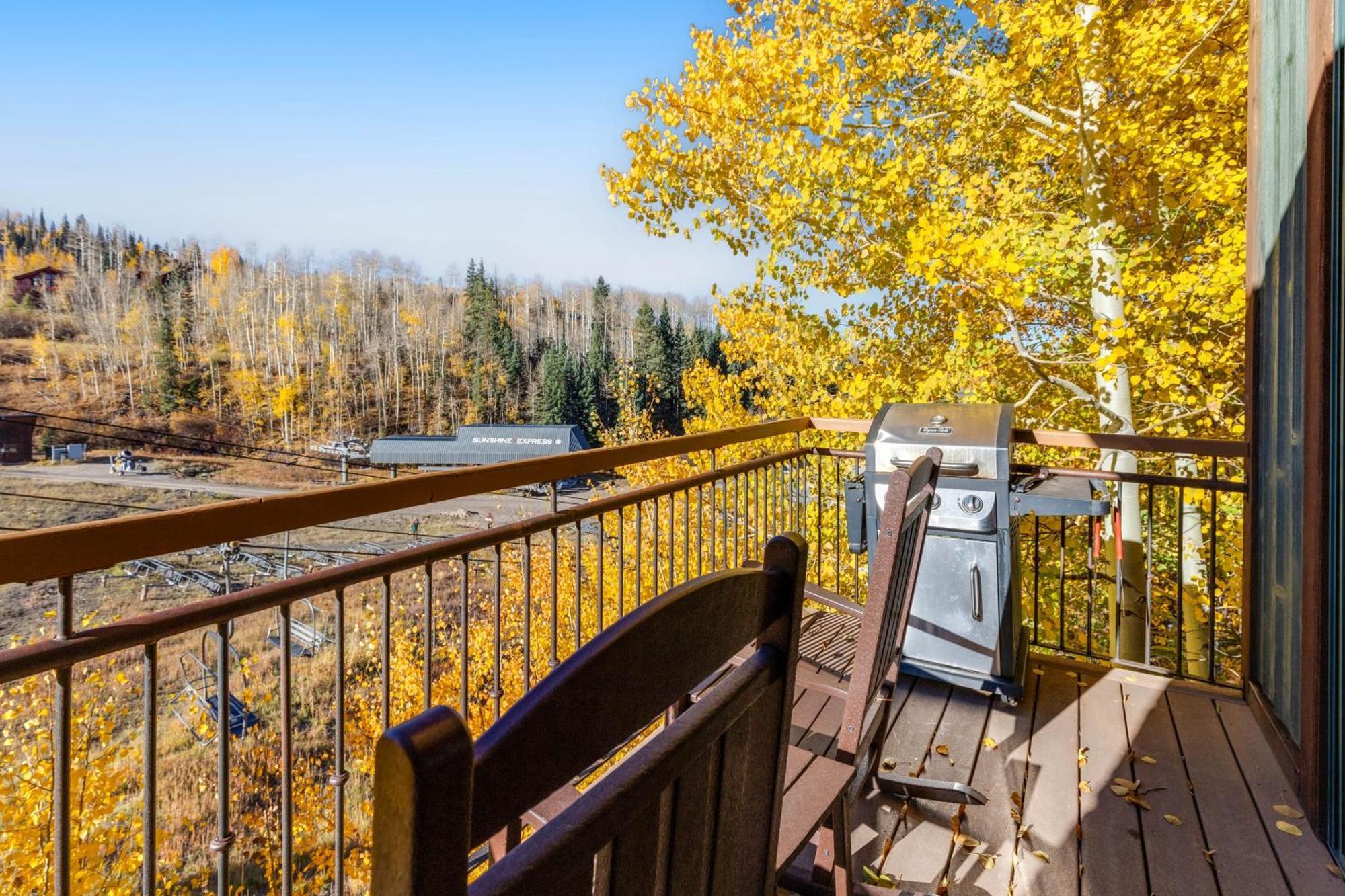 Terraces Holiday home Telluride