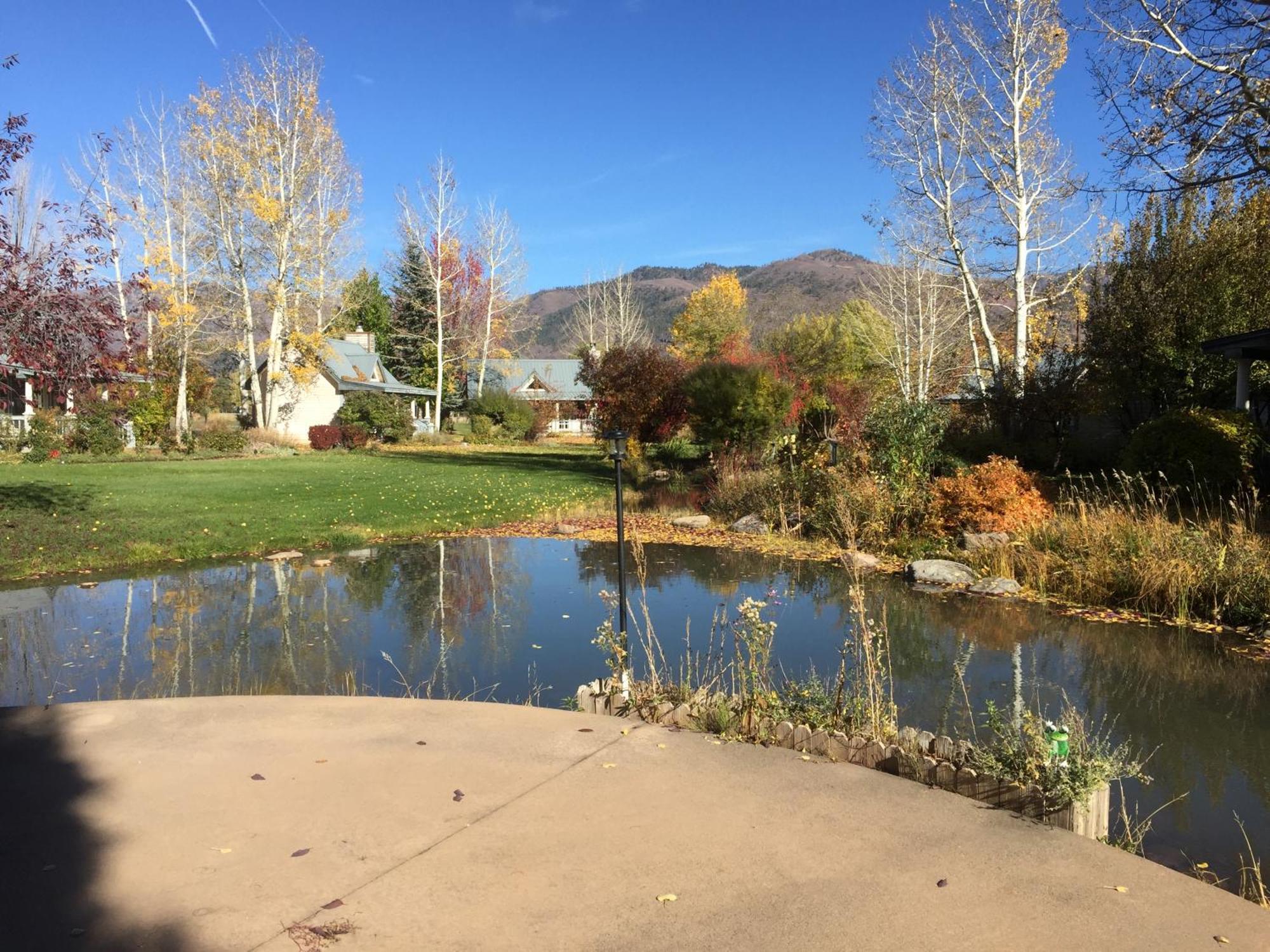 Apple Orchard Bed & Breakfast