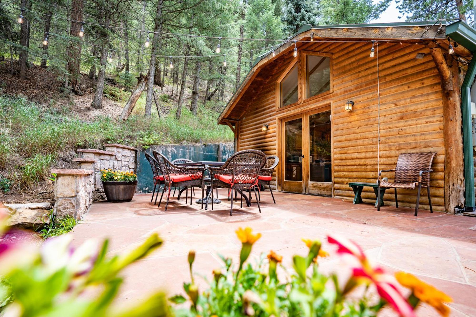 Colorado Bear Creek Evergreen
