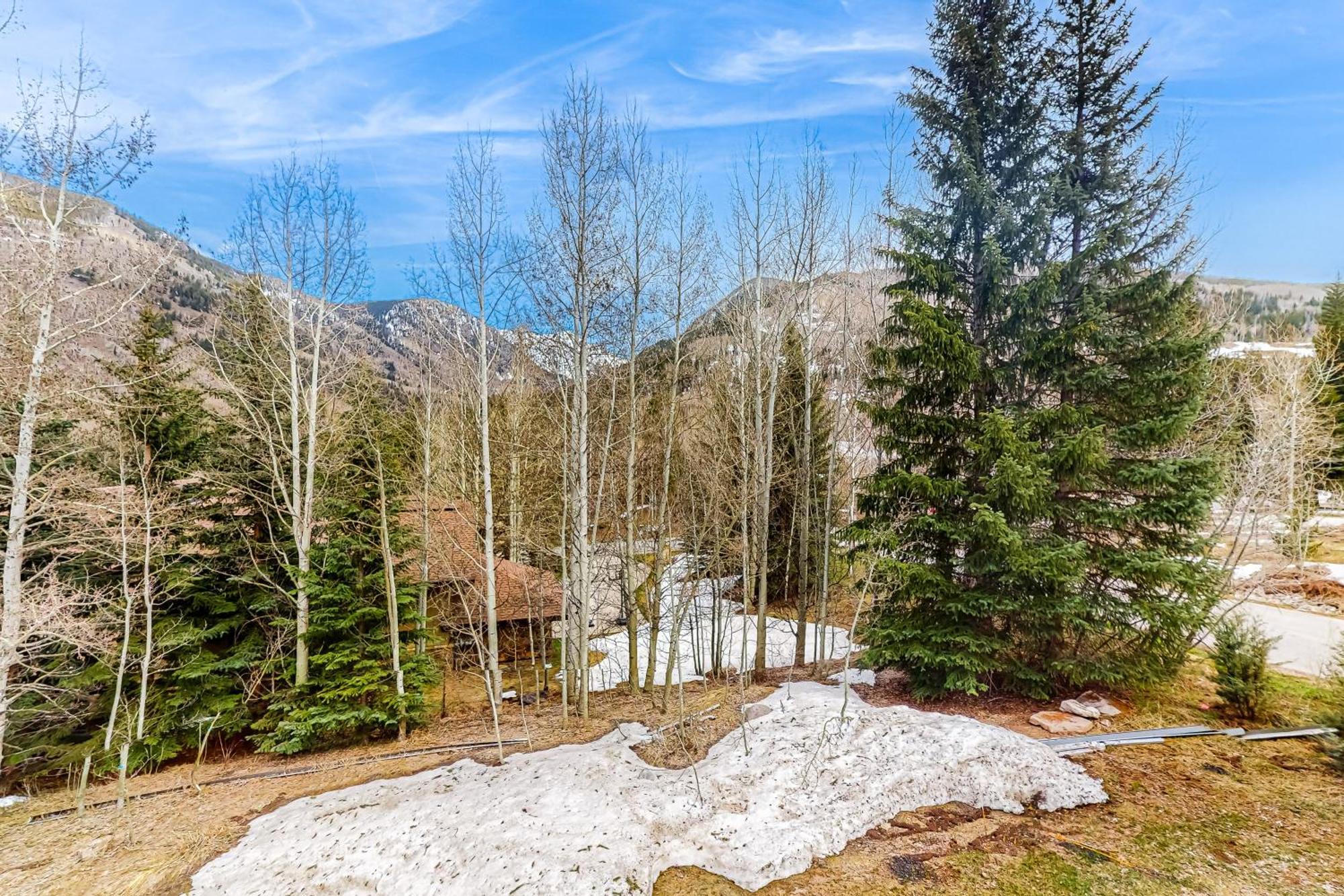 Snowshoe Sanctuary Holiday home Vail