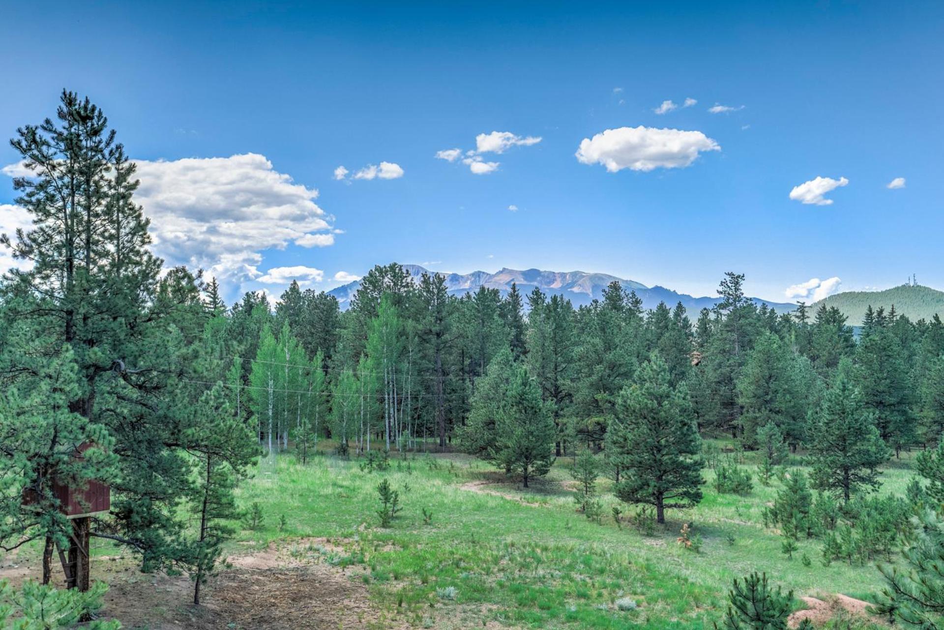 Holiday home Pikes Peak Stunning Views! Hot Tub! Pet Friendly! *