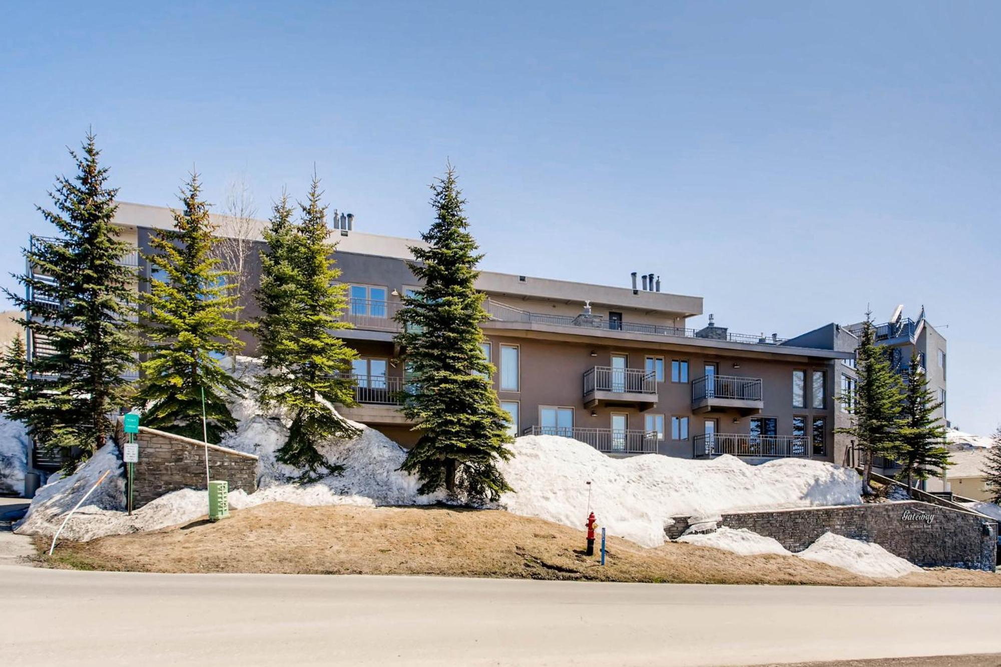 Resort Mountain Crested Butte