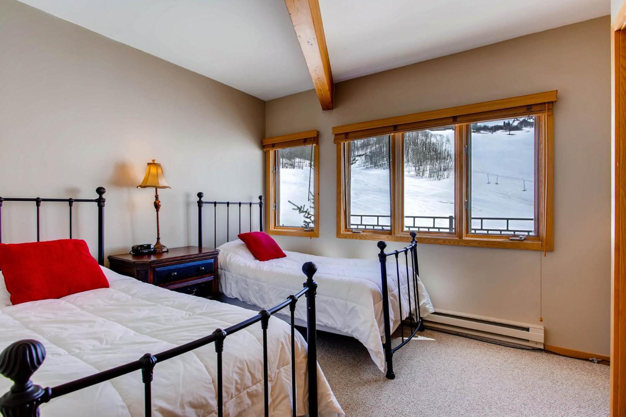 Resort Mountain Crested Butte