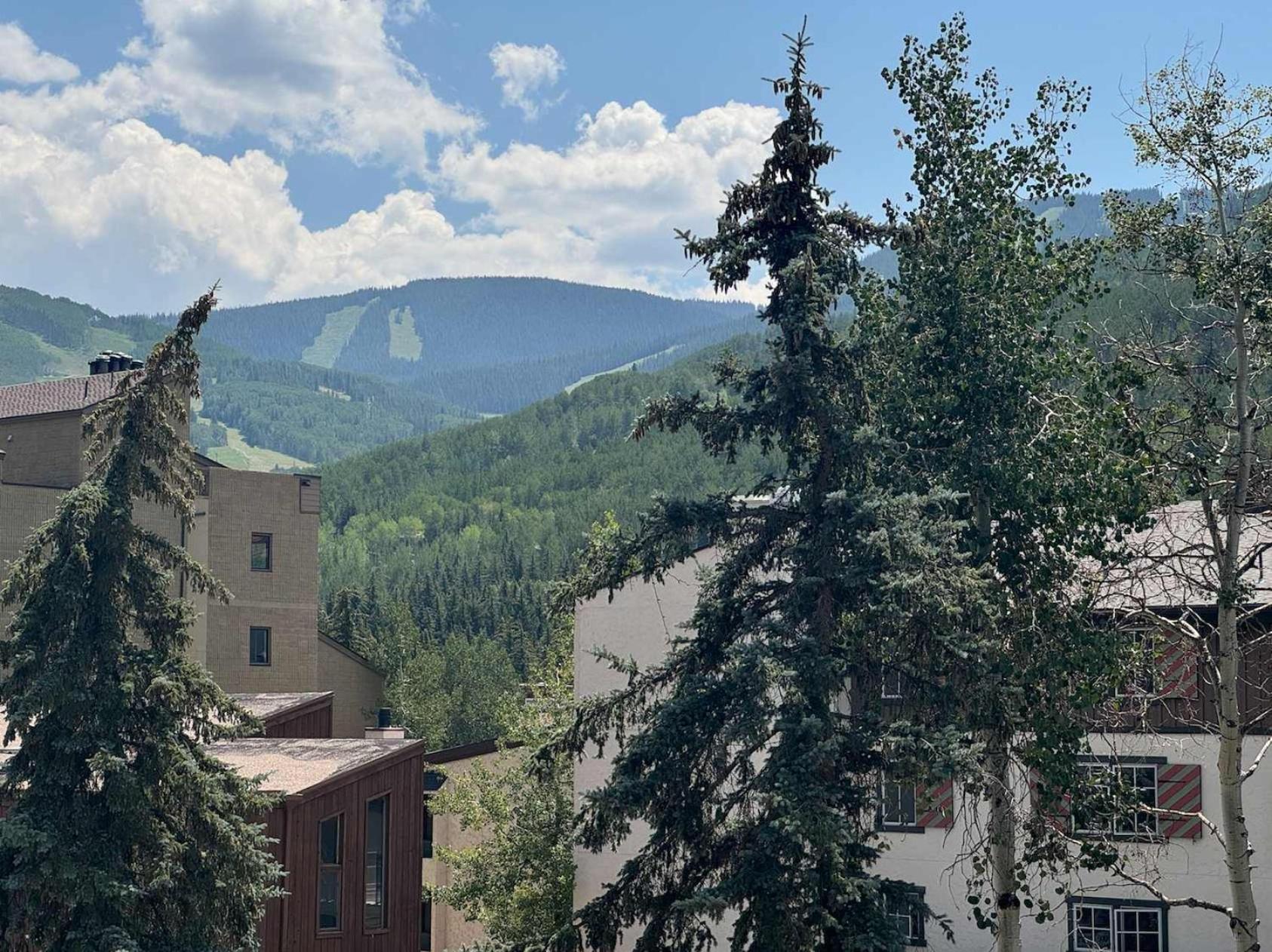 Location In The Heart Of Lions Head, Lockers, Jacuzzi And Pool Vail