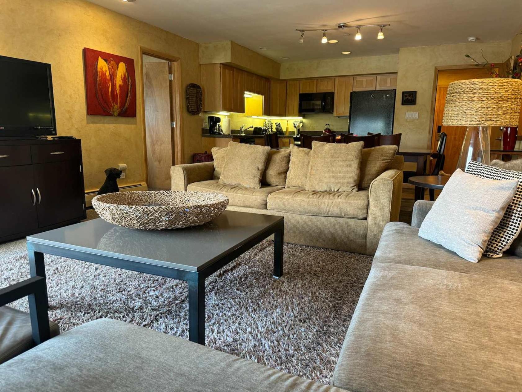 Apartment Location In The Heart Of Lions Head, Lockers, Jacuzzi And Pool Vail