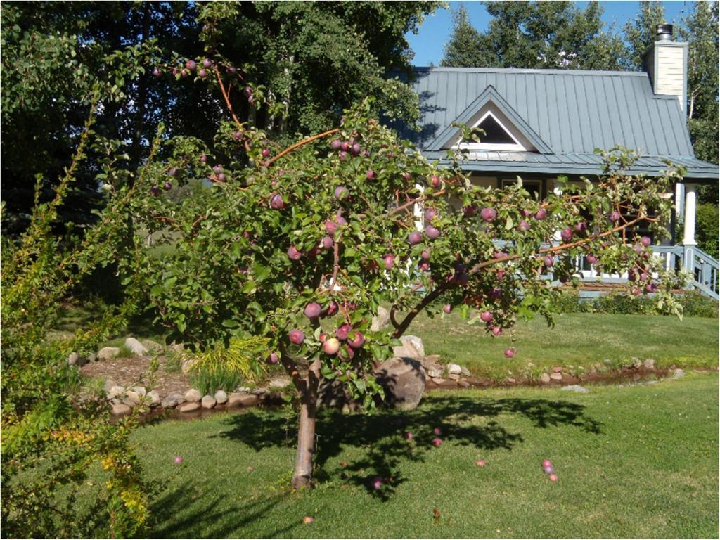 Apple Orchard Hermosa