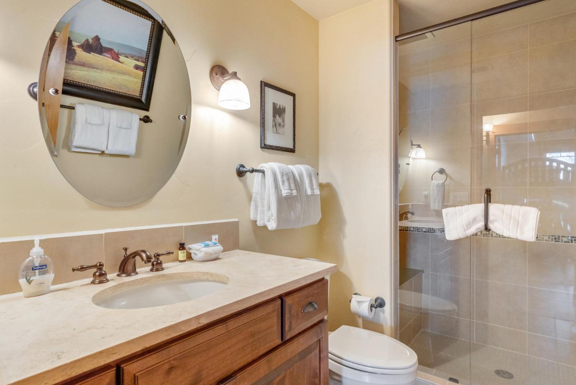 Outdoor Pools And Hot Tubs, Air Conditioning, Washer & Dryer In Unit, Mountain Views Steamboat Springs
