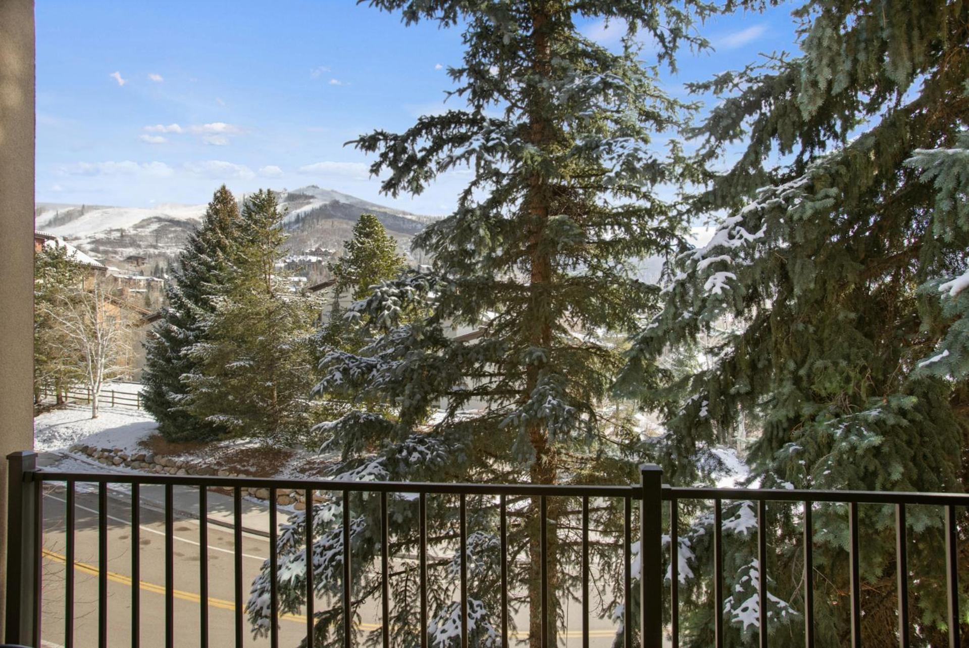 Snow Flower 204 -reduced Rates- Pool, Hot Tub, Balcony With Views, Steps To Gondolas, Restaurants Steamboat Springs