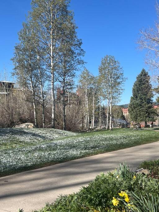 In, Out Cozy Creek Side W Front Yard * Steamboat Springs