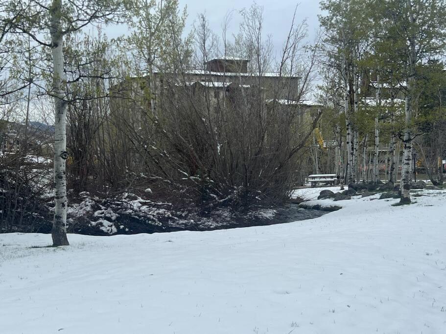 Holiday home In, Out Cozy Creek Side W Front Yard Steamboat Springs