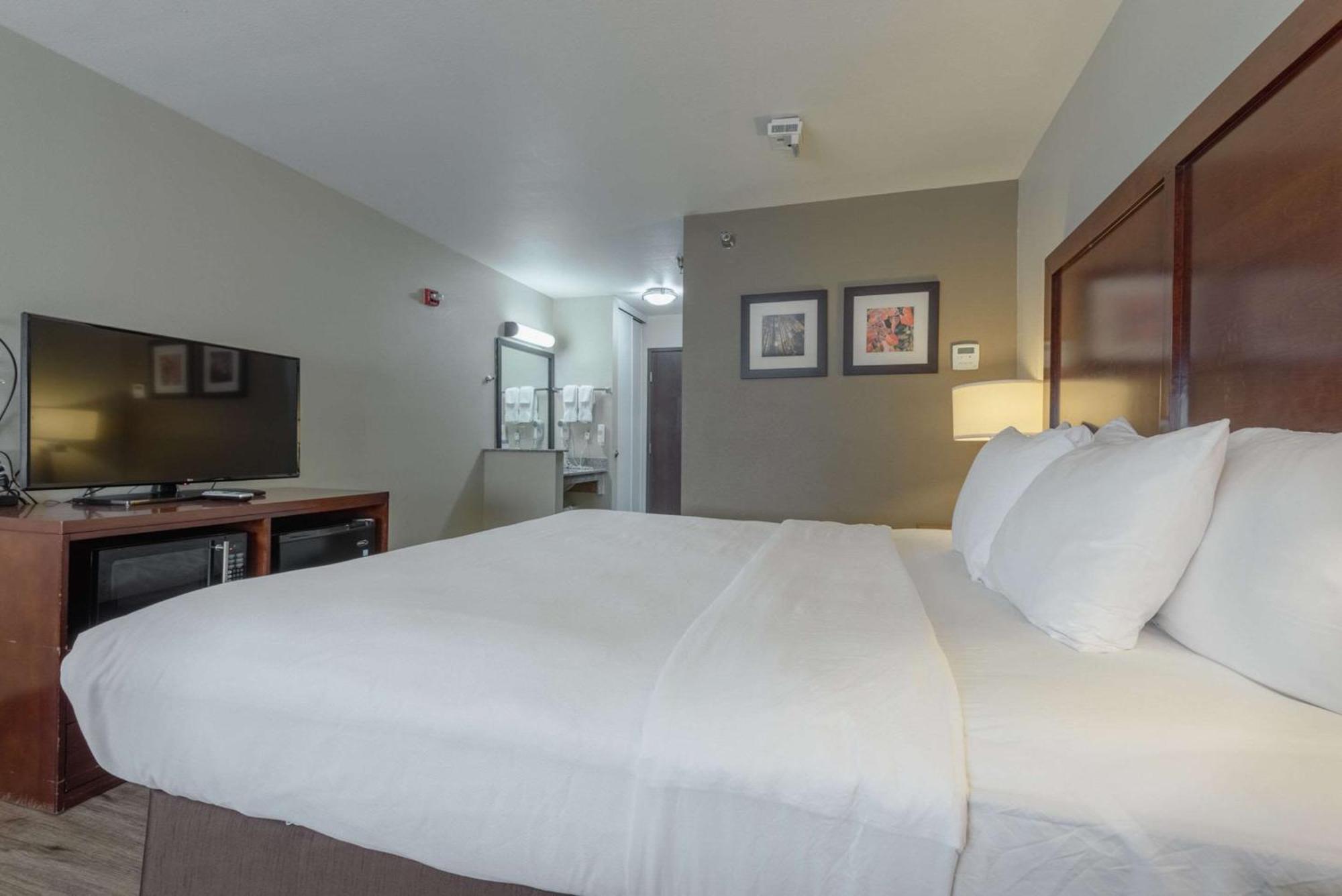 Comfort & Hotel Alamosa