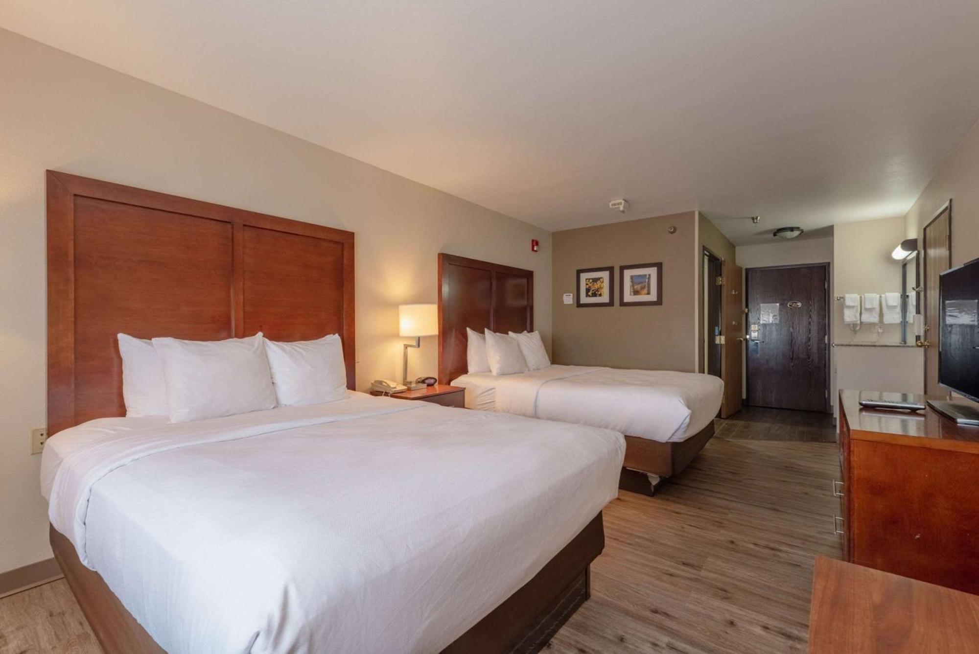 Comfort & Hotel
