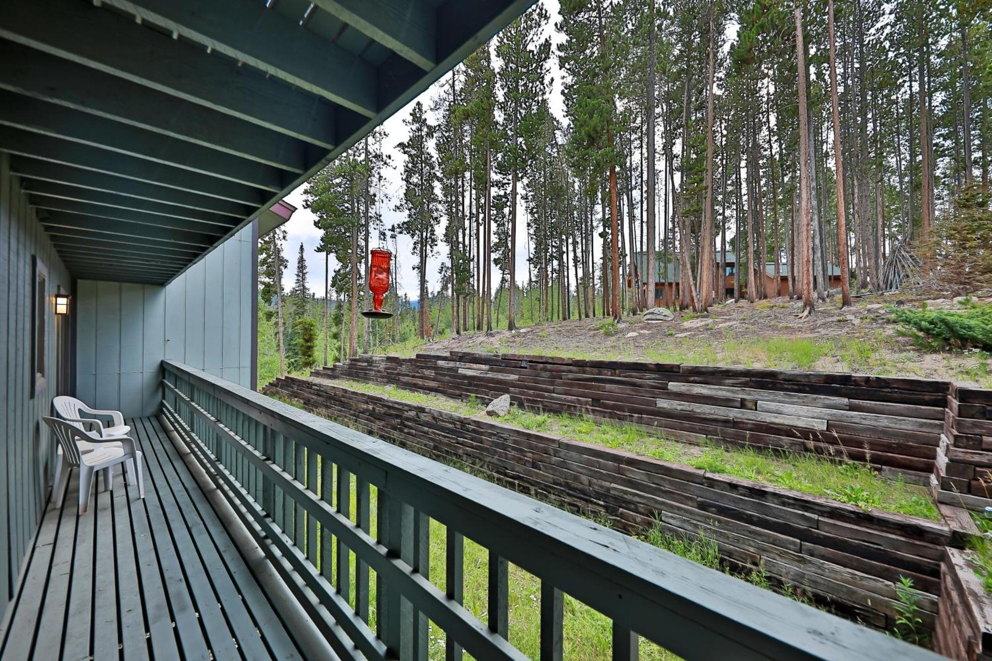 Timber Run Evergreen 9 *
