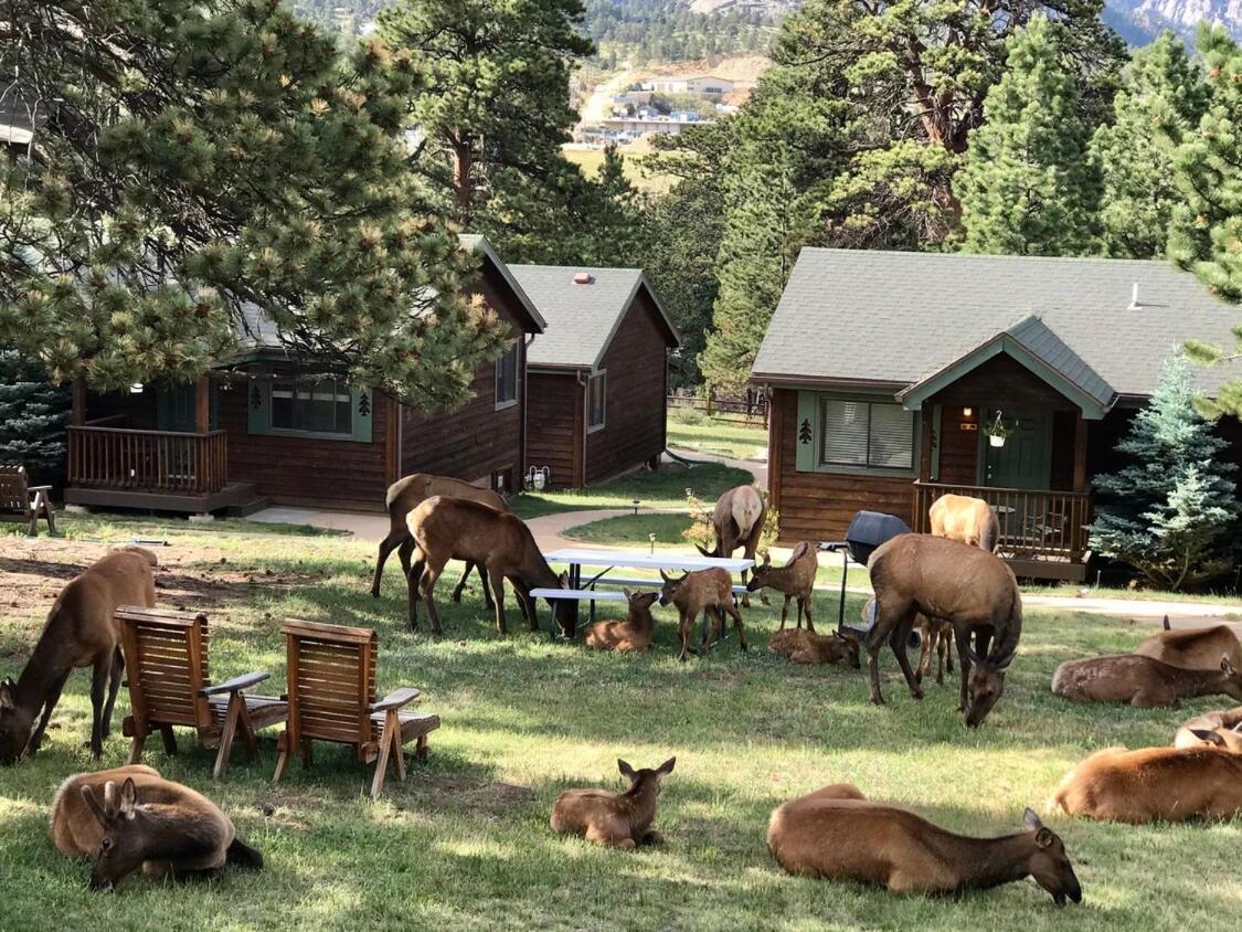 Mountain Shadows Holiday park Estes Park