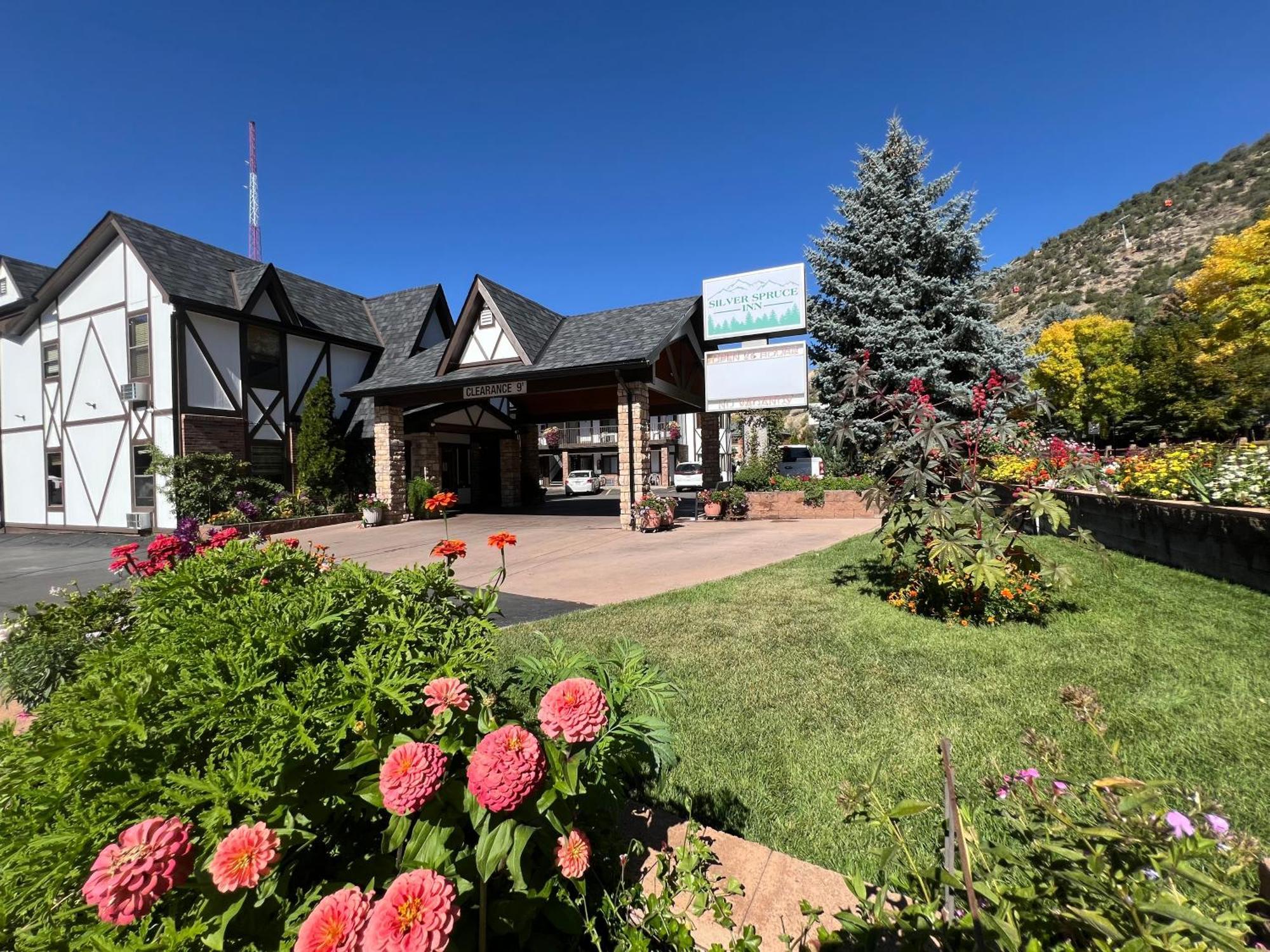 Motel Silver Spruce