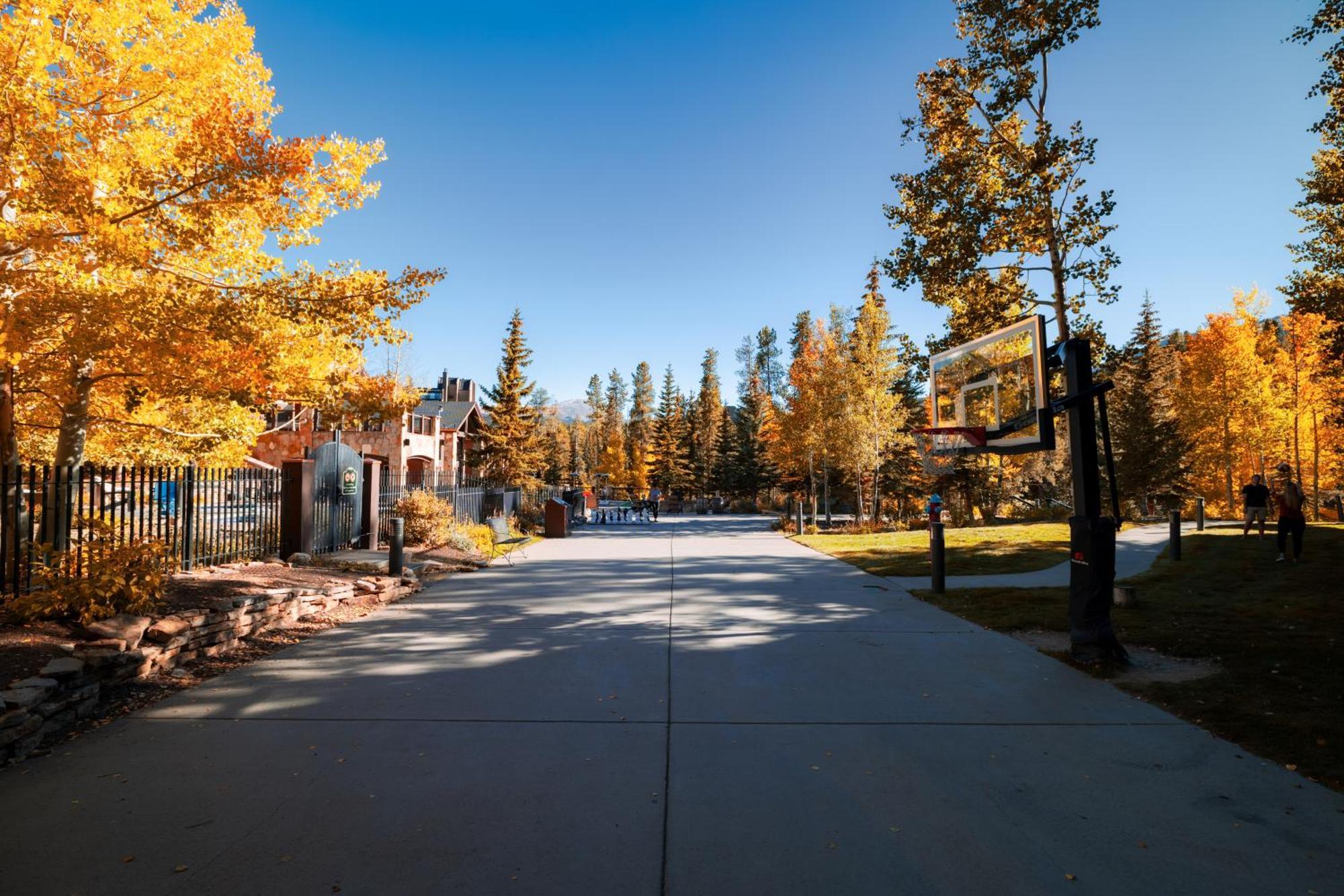 & Summer 1br 2beds With Parking & Amenities Apartment Breckenridge