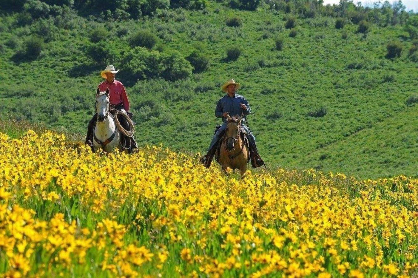 Western